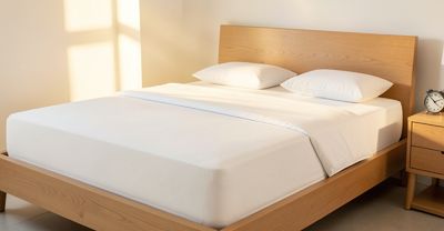 Wie oft sollte man die Matratze reinigen lassen?